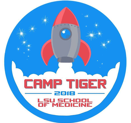 Camp Tiger 2018 theme